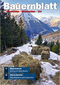 Titelbild BB Januar 2026